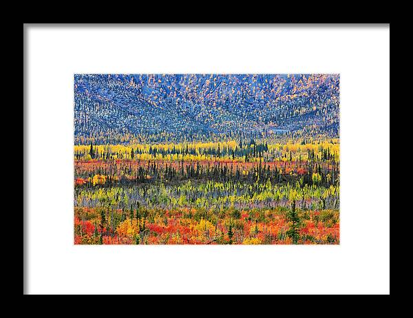 Color Framed Print featuring the photograph Fall Color In The Mountain by Jun Zuo