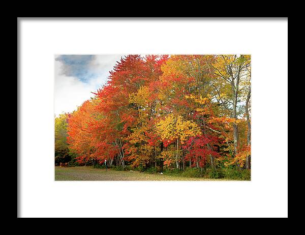 Autumn Framed Print featuring the photograph Fall Colors by Doug Camara