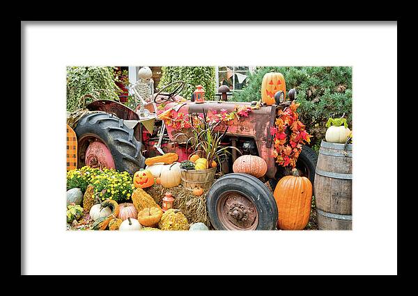 Fall Framed Print featuring the photograph Fall Decor by Nick Mares