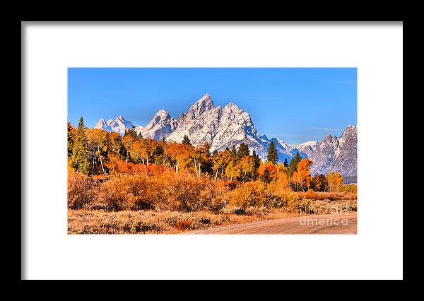 Grand Teton Framed Print featuring the photograph Fall Foliage Under The Cathedral Group by Adam Jewell