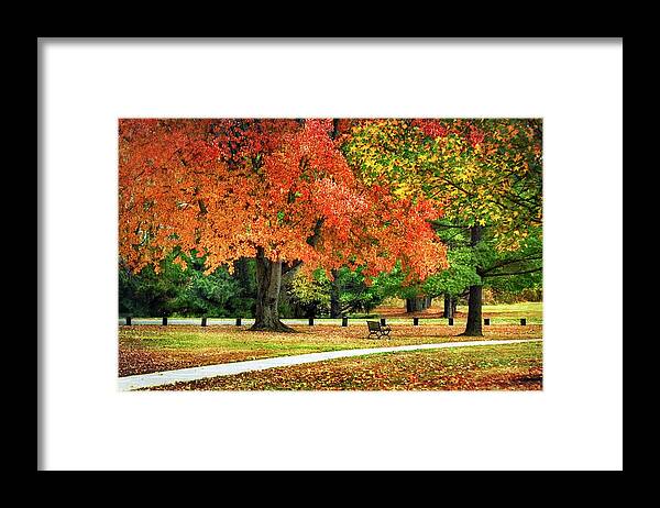 Fall Framed Print featuring the photograph Fall In The Park by Christina Rollo