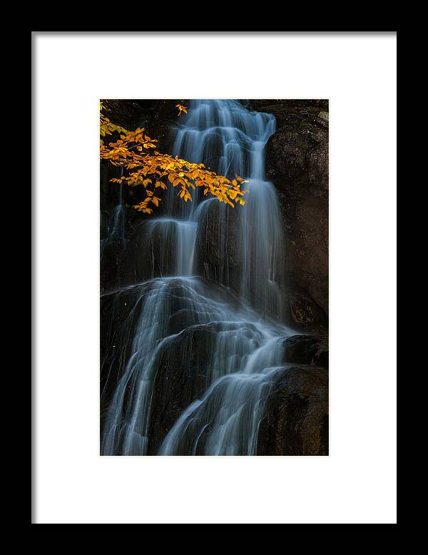 Fall Framed Print featuring the photograph Fall by Jay Zhu