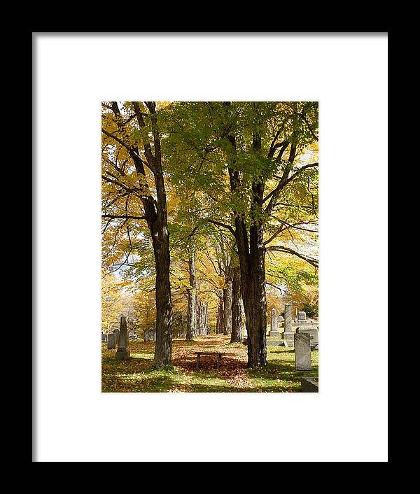 Leaves Framed Print featuring the photograph Fallen leaves by Patricia Caron