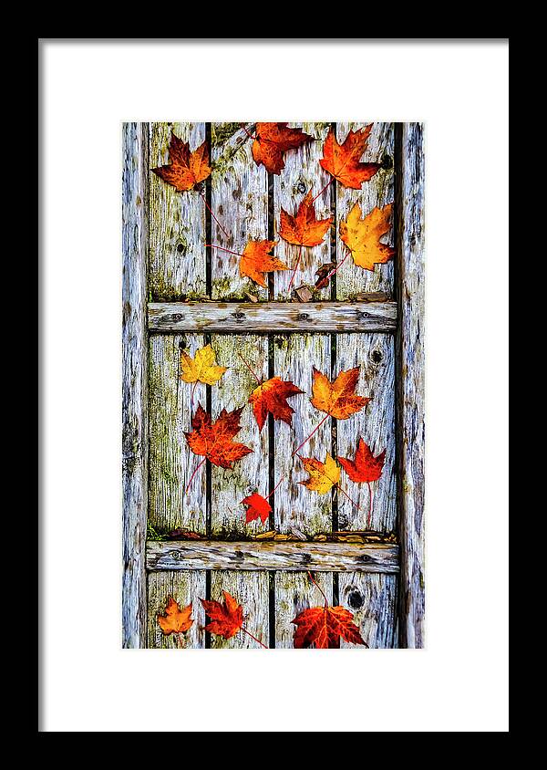 Brown Framed Print featuring the photograph Fallen leaves On Wooden Walkway by Garry Gay