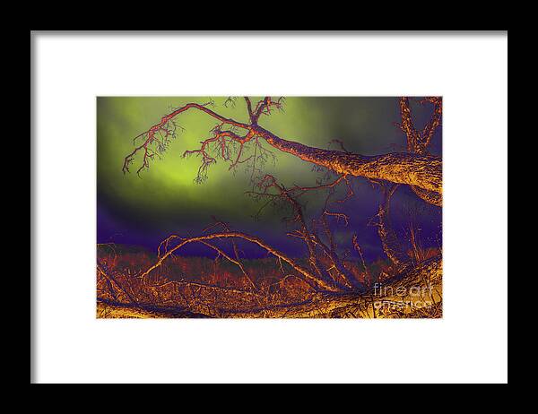 Tree Framed Print featuring the photograph Fallen Tree by Mike Eingle