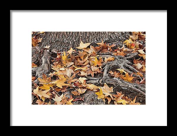 Fallen Yellow Leaves Framed Print featuring the mixed media Fallen Yellow Leaves by Lori Hutchison