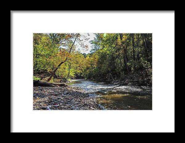 Falling Framed Print featuring the photograph Falling Leaves - Wissahickon Creek by Bill Cannon