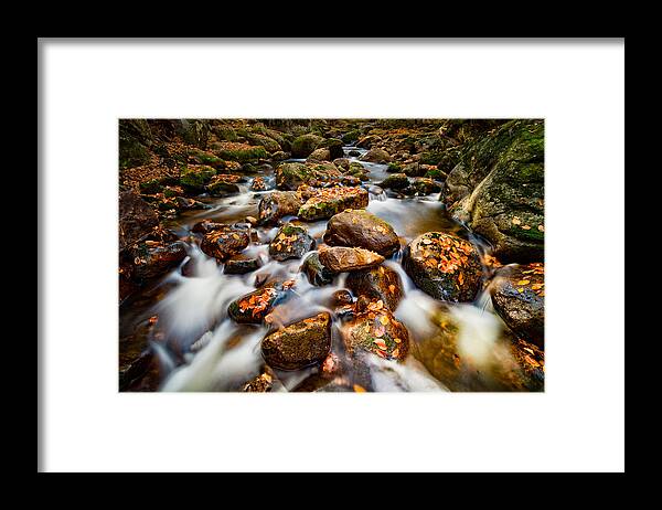 Fallen Leaves Framed Print featuring the photograph Fall\'s Flow And Colors by David Boutin