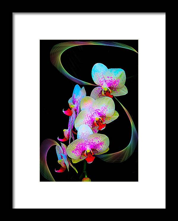 Orchids Framed Print featuring the photograph Fantasy Orchids in Full Color by Rosalie Scanlon