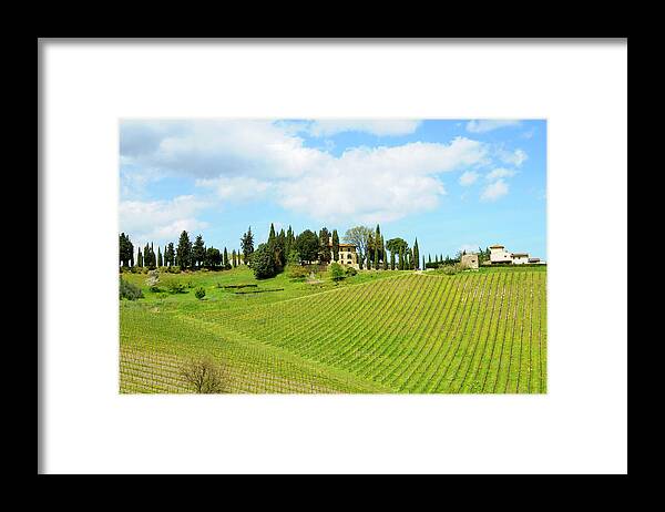 Scenics Framed Print featuring the photograph Farmhouse And Vineyard Landscape by Lisa-blue
