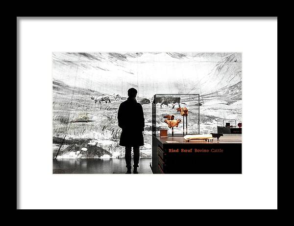Zurich Framed Print featuring the photograph Fascinated by Christopher Brown