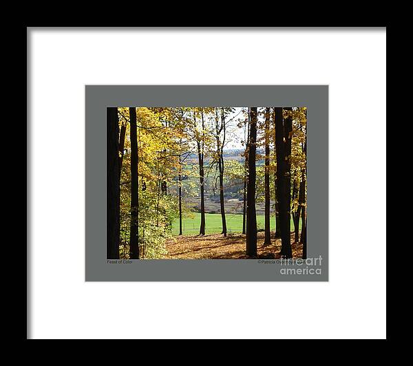 Autumn Framed Print featuring the photograph Feast of Color by Patricia Overmoyer