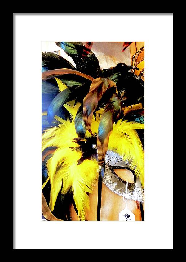 Costume Framed Print featuring the photograph Feather Mask for Sale by Alida M Haslett