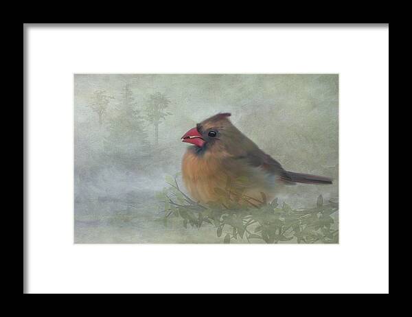Female Cardinal Framed Print featuring the photograph Female Cardinal with Seed by Patti Deters