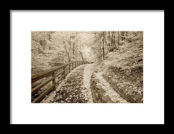 Fence & Pathway Framed Print featuring the photograph Fence & Pathway, Munising, Michigan '12 by Monte Nagler