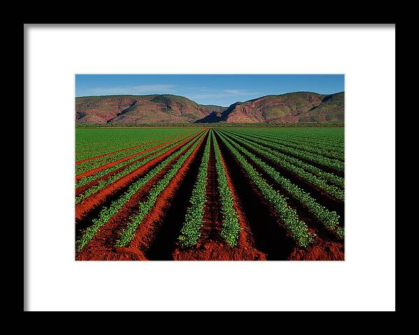 Scenics Framed Print featuring the photograph Field In Kununurra by John Crux Photography