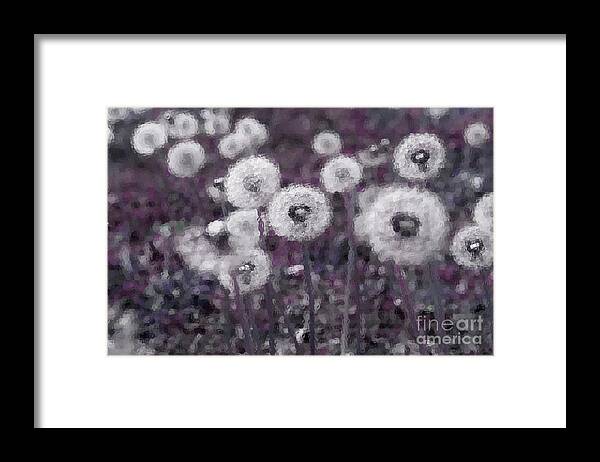 Dandelion Framed Print featuring the photograph Field Of Dreams by Mike Eingle