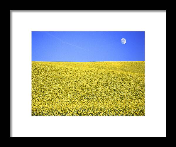 Scenics Framed Print featuring the photograph Field Of Rapeseed With Blue Sky & Moon by Jamie Robertson