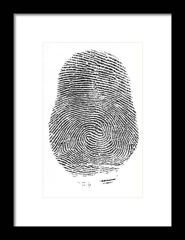 Finger Print Double Loop Whorl Framed Print by Vcnw 