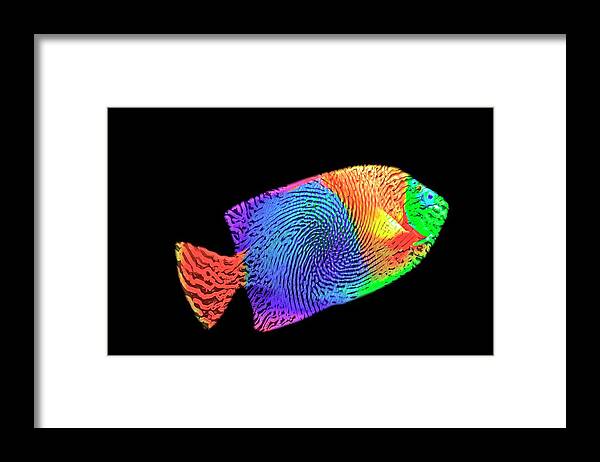 Fish Framed Print featuring the digital art Fingerprint on a fish by Pheasant Run Gallery