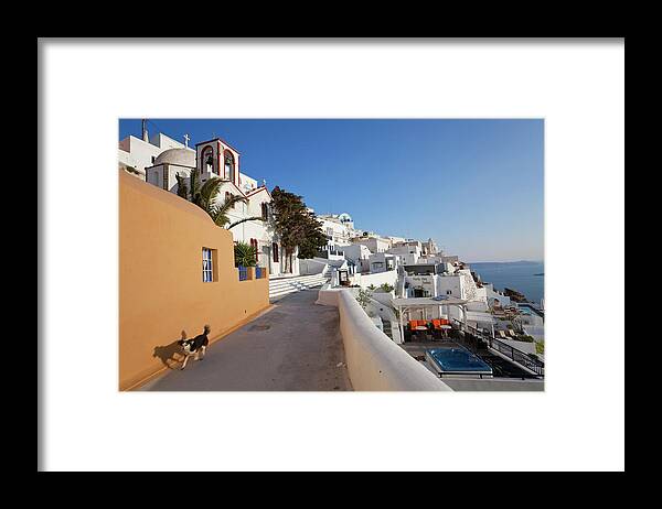 Pets Framed Print featuring the photograph Fira, Santorini Thira, Cyclades, Greece by Peter Adams
