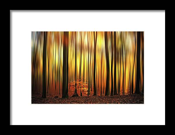 Forest Framed Print featuring the photograph Firewall by Philippe Sainte-Laudy