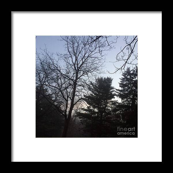Nature Framed Print featuring the photograph First Light and Fog by Frank J Casella