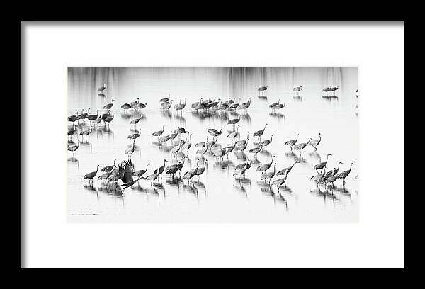 Richard E. Porter Framed Print featuring the photograph First One Off - Muleshoe Wildlife Refuge, Texas by Richard Porter