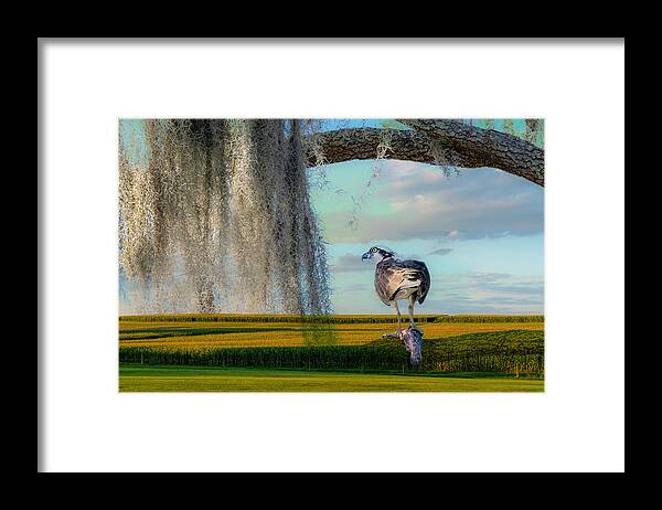 Orlando Framed Print featuring the photograph Fish, Fowl And Corn by Ed Esposito