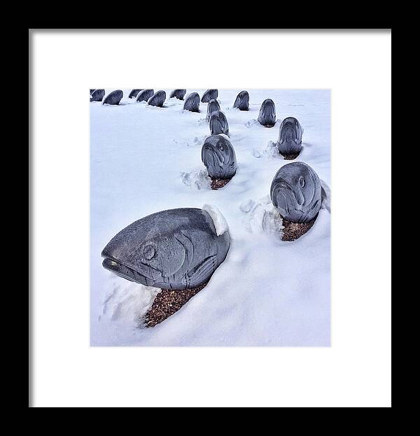 Fish Framed Print featuring the photograph Fish in Snow by Candy Brenton