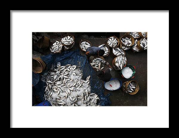 Fish Framed Print featuring the photograph Fish On Transit by Shahriar Farzana