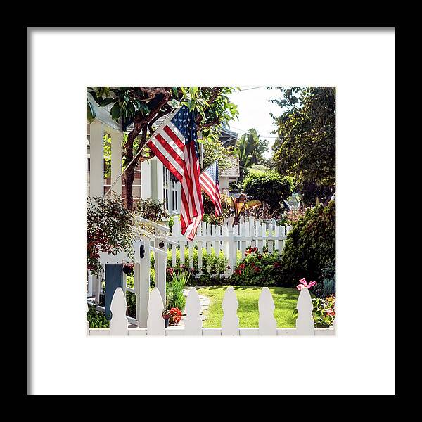 Flowers Framed Print featuring the photograph Flags 2 by Bill Chizek