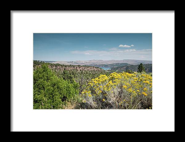 Flaming Gorge Framed Print featuring the photograph Flaming Gorge Chamisa by Patricia Gould