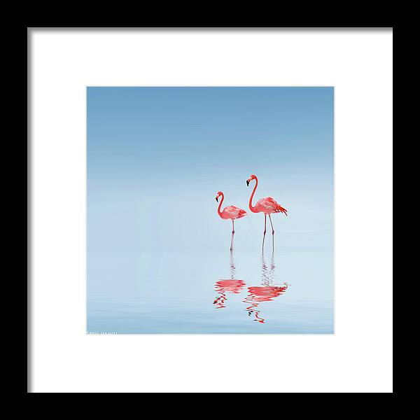 Lake Framed Print featuring the photograph Flamingo by Bess Hamiti
