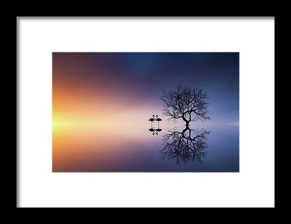 Silhouette Framed Print featuring the photograph Flamingos In A Lake With A Tree by Bess Hamiti