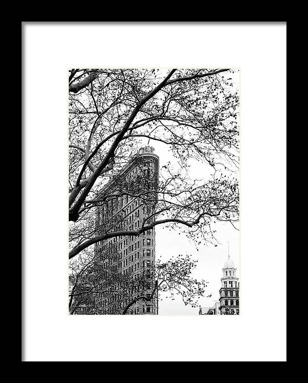 Flat Iron Framed Print featuring the photograph Flat Iron Through the Trees by Cate Franklyn
