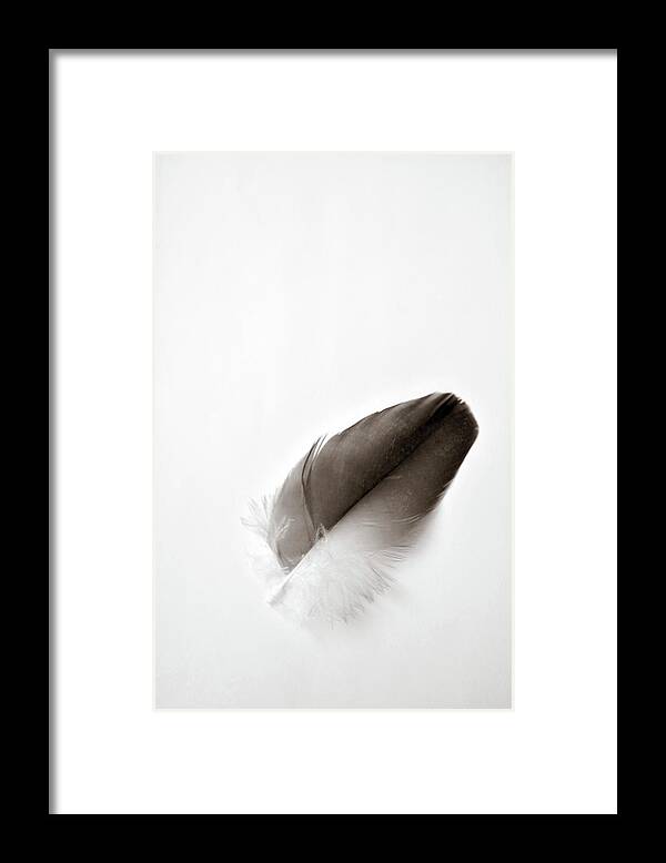 Feather Framed Print featuring the photograph Flightless by Michelle Wermuth