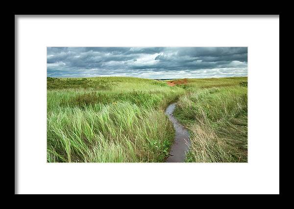 New London Lighthouse Framed Print featuring the photograph Flooded Dune Path After Dorian by Marcy Wielfaert