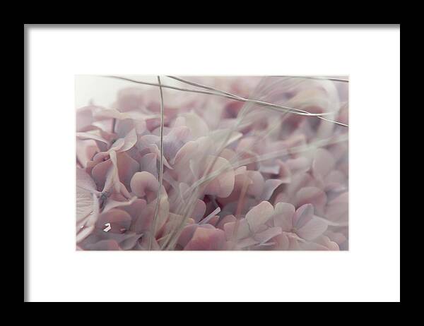 Wire Framed Print featuring the photograph Floral Abstract In Pink by Anne Stahl