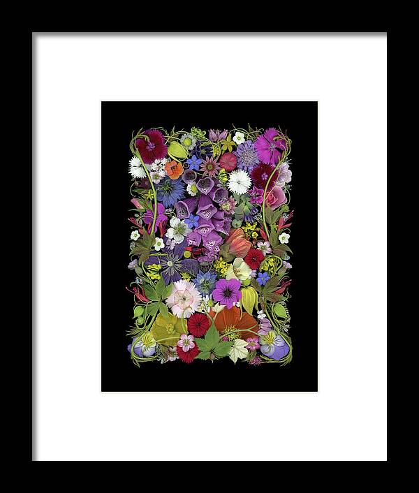 Flowers Framed Print featuring the photograph Floral collage 15 by Sandra R Schulze Photography