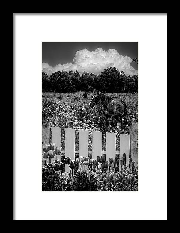Barn Framed Print featuring the photograph Floral Farmland in Black and White by Debra and Dave Vanderlaan