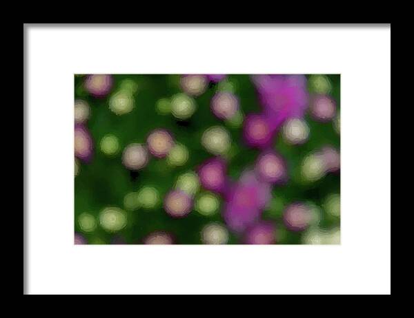 Pink Framed Print featuring the photograph Floral Vision by Cathy Kovarik