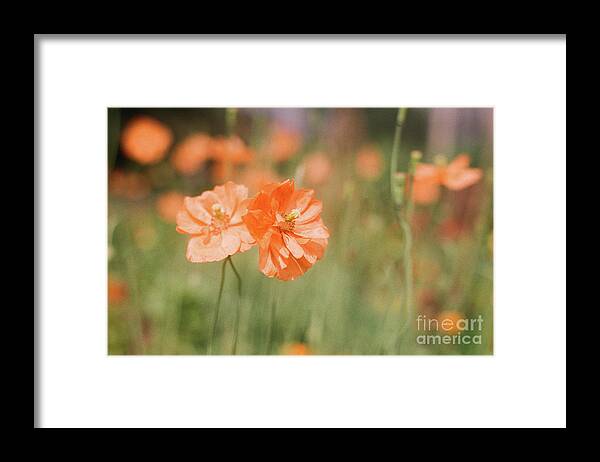 Flowers Framed Print featuring the photograph Flower Buddies by Ana V Ramirez