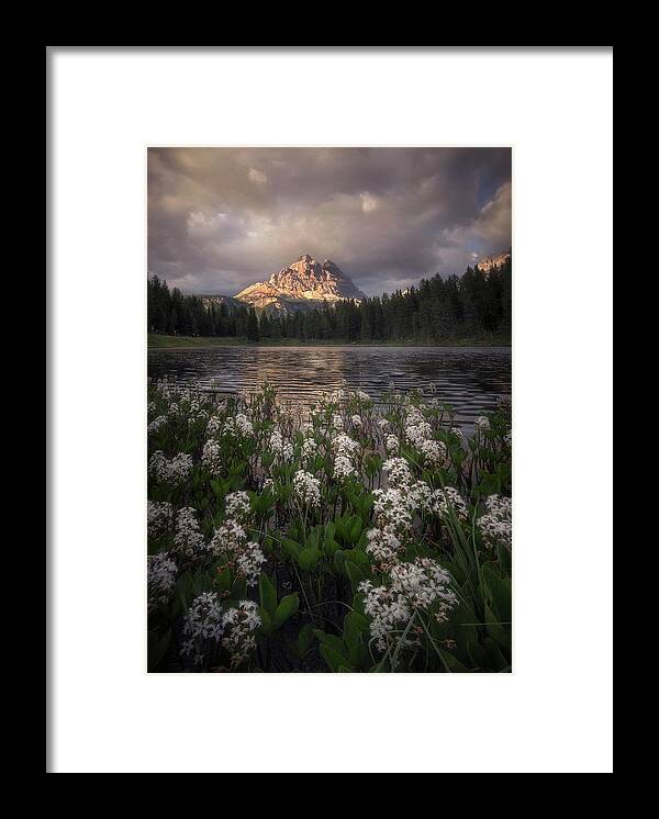 Flowers Framed Print featuring the photograph Flowering by Ricardo Gayan