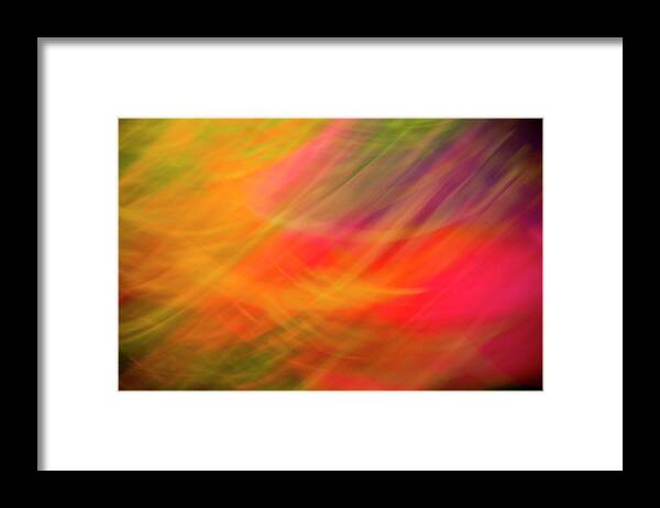 Photography Framed Print featuring the photograph Flowers In Abstract by Jeffrey PERKINS