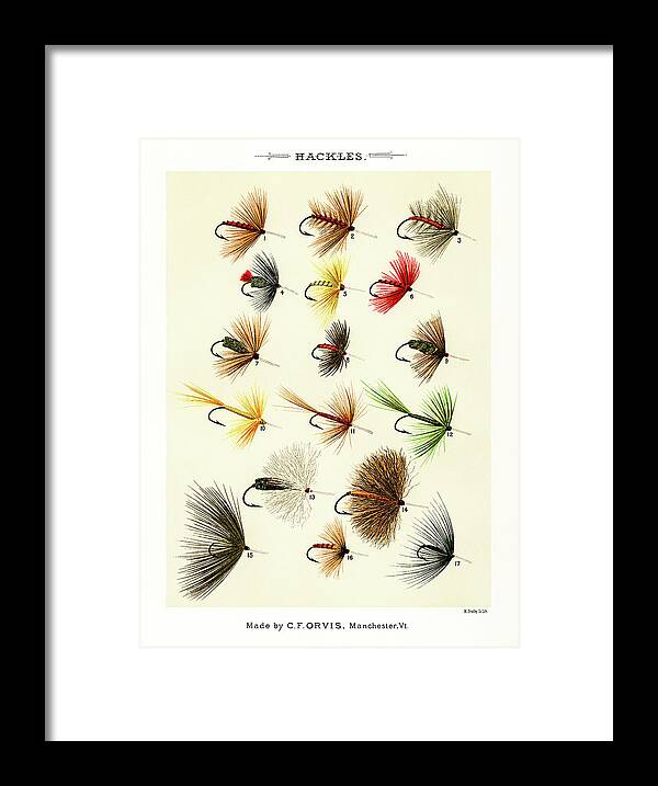 David Letts Framed Print featuring the drawing Fly Fishing Lures 1 by David Letts