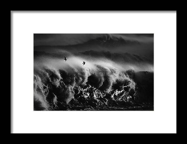 Sea Framed Print featuring the photograph Fly In A Storm by Takafumi Yamashita