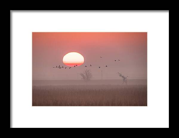 Nature Framed Print featuring the photograph Flying Over The Sun by Joy Pingwei Pan
