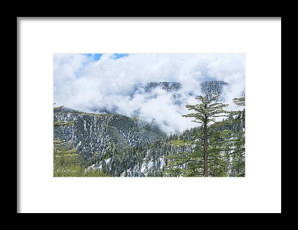 Top Framed Print featuring the photograph Fog Across The Valley by Paulette B Wright