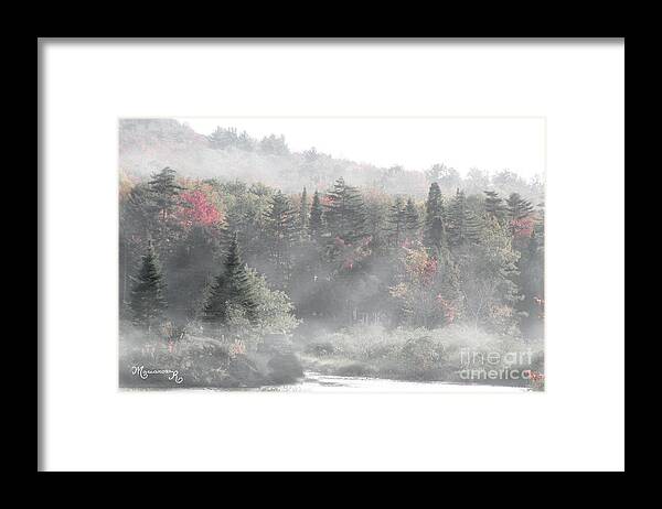 Nature Framed Print featuring the photograph Foggy by Mariarosa Rockefeller